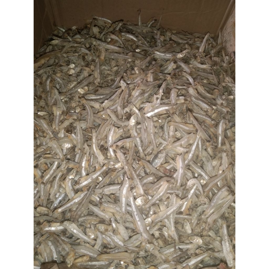 

ikan asin teri dan layang rebus