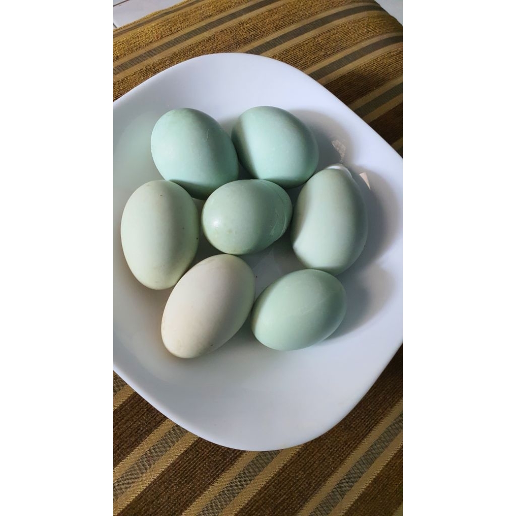 

Telur asin El Hasany Farm