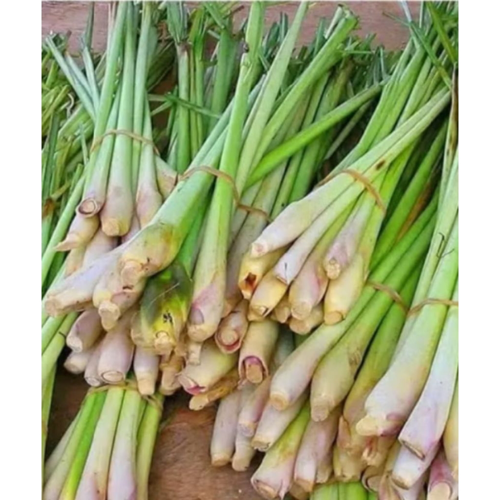 

Batang serai/atau sereh segar 250 gram