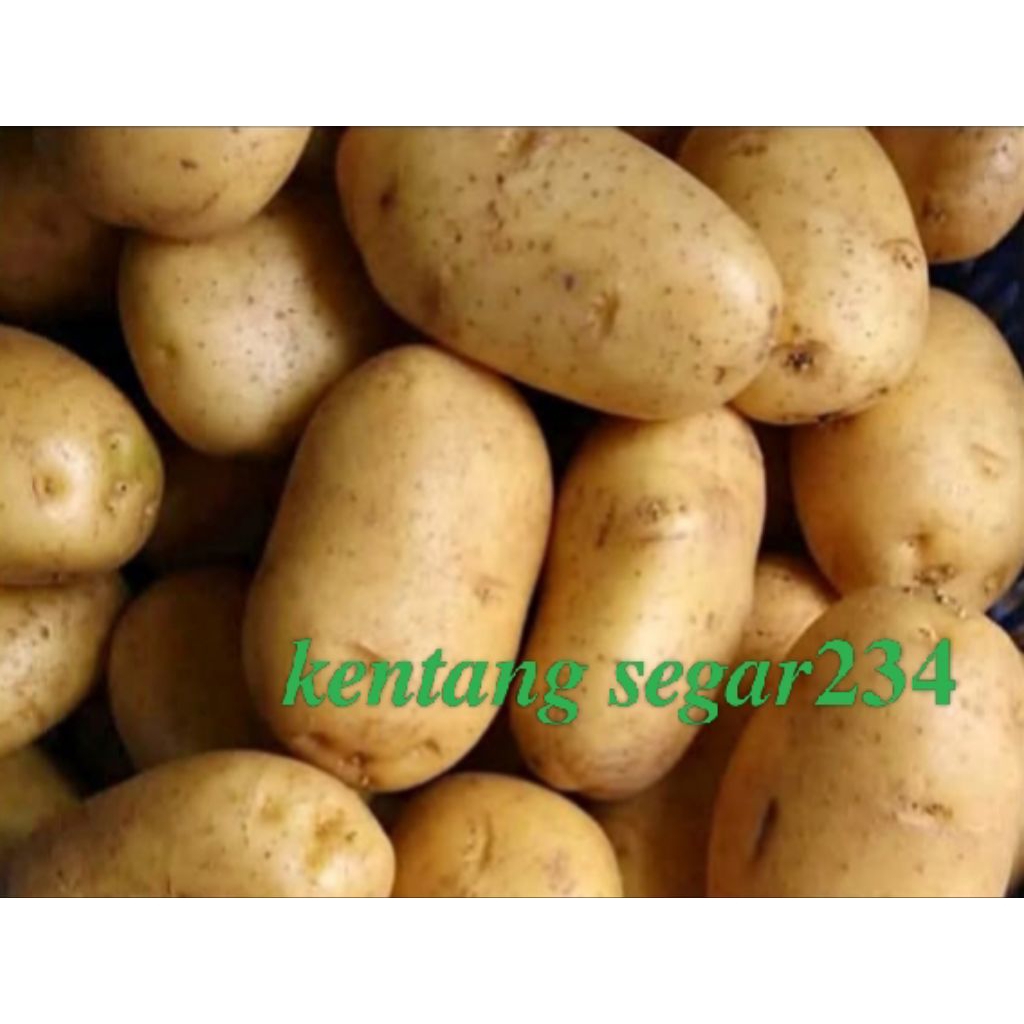 

paket kentang segar..2kg