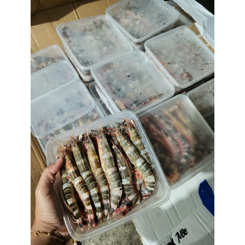 

UDANG WINDU 1 KG FROZEN