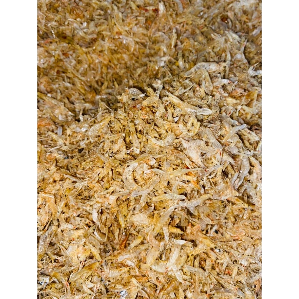 

UDANG PAPAI JURAGAN IKAN ASIN