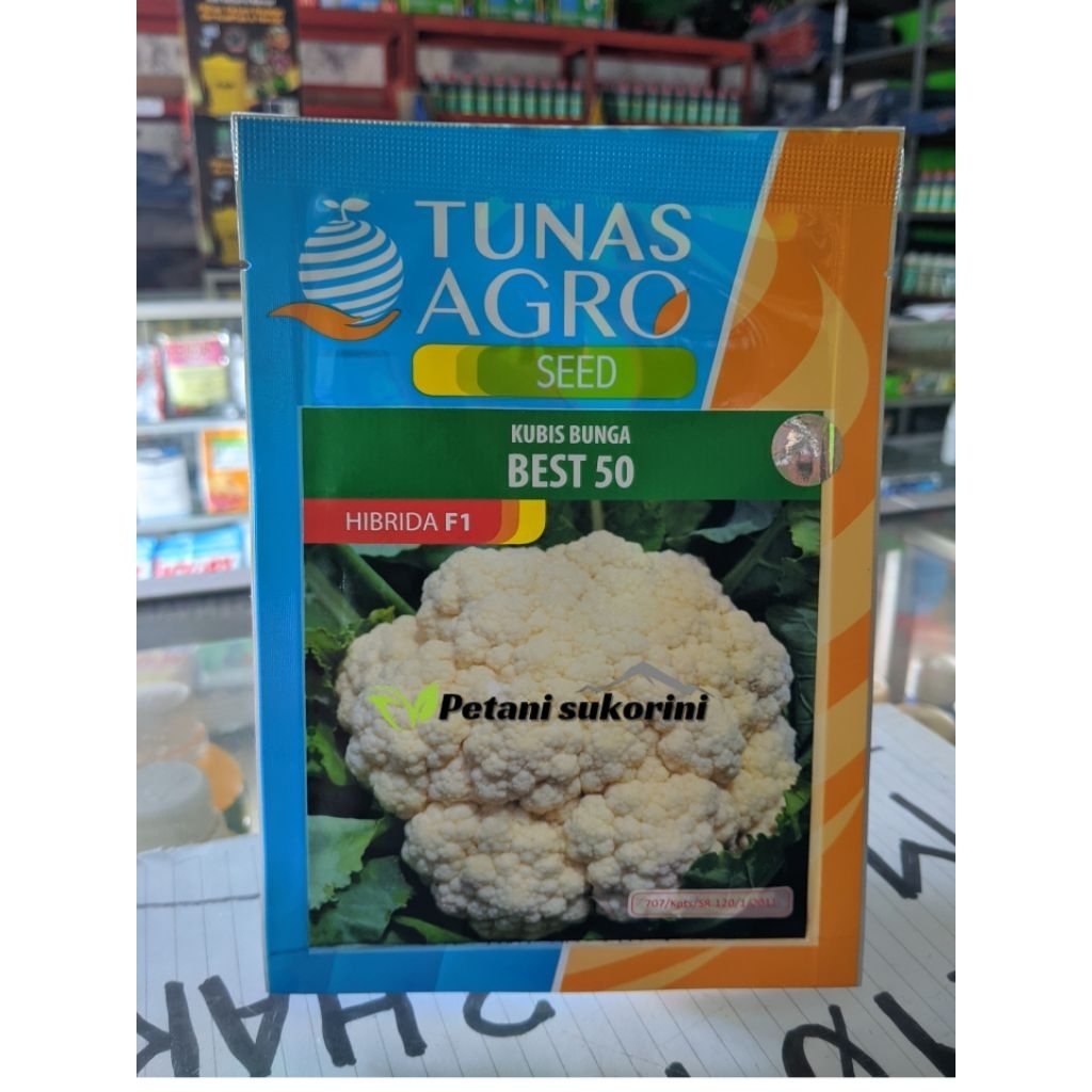 

benih Kembang Kol- Best-tunas agro