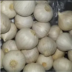 

Bawang Putih Tinggal 500 gr