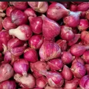 

Bawang Merah 100 Gram