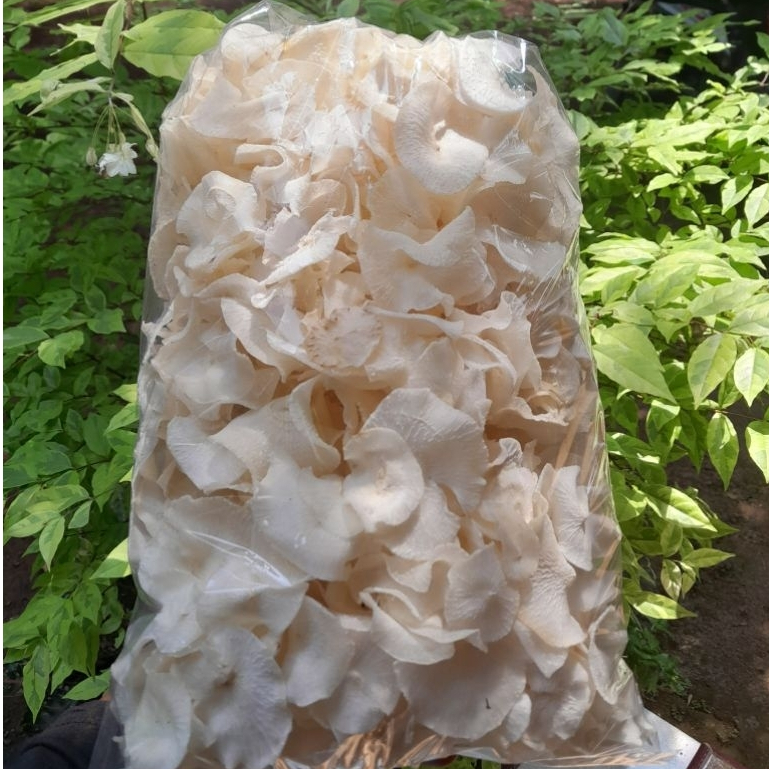 

keripik singkong mentah berasa seperti gadung isi 1000 gram