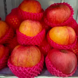 

apel fuji 88 manis renyah