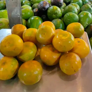 

jeruk medan berastagi