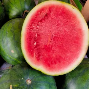 

Semangka merah non biji satut bulat