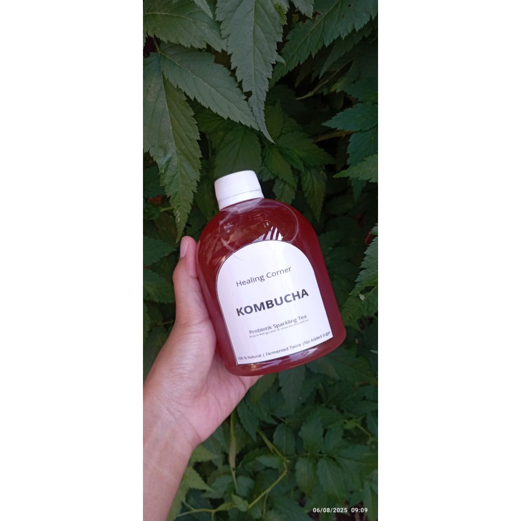 

Bundling Kombucha 500ml 3 Pack