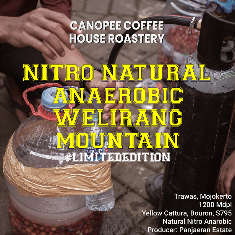 

Arabika "NITRO Natural Anaerobic Welirang Mountain" - Limited Edition Series