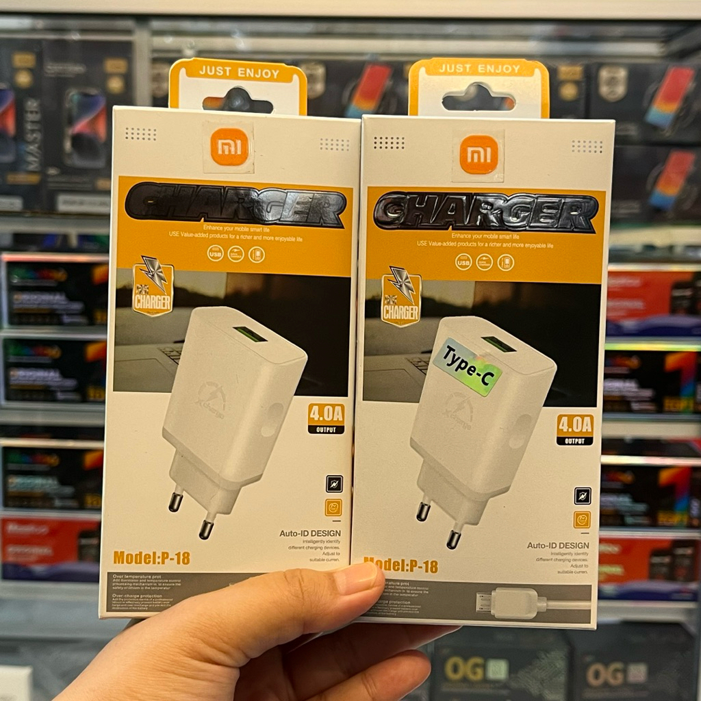 CHARGER FAST CHARGER CASAN MI P-18