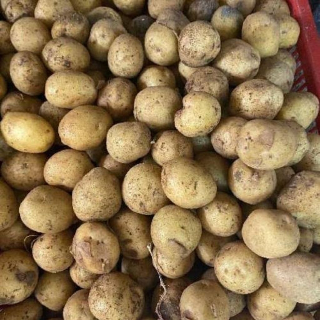 

KENTANG Rendang , kentang sayur ,kentang ares 1KG