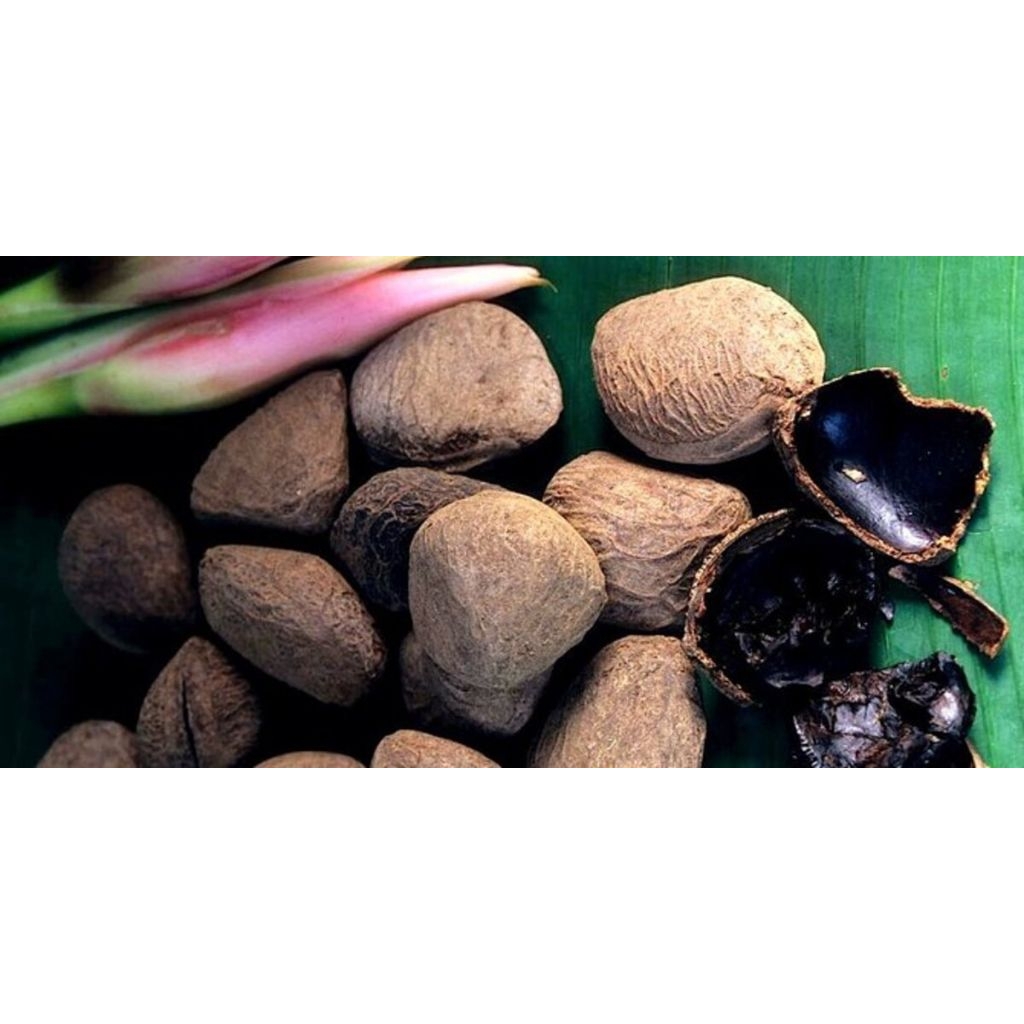 

kluwek/klewek/picung/pelengkap masakan rawon