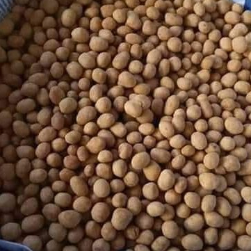 

Kacang Telur Manis Gurih 100gr 250gr 500gr 1kg _ Oleh-oleh _ Snack Camilan gram _ Cod _ gratis ongkir