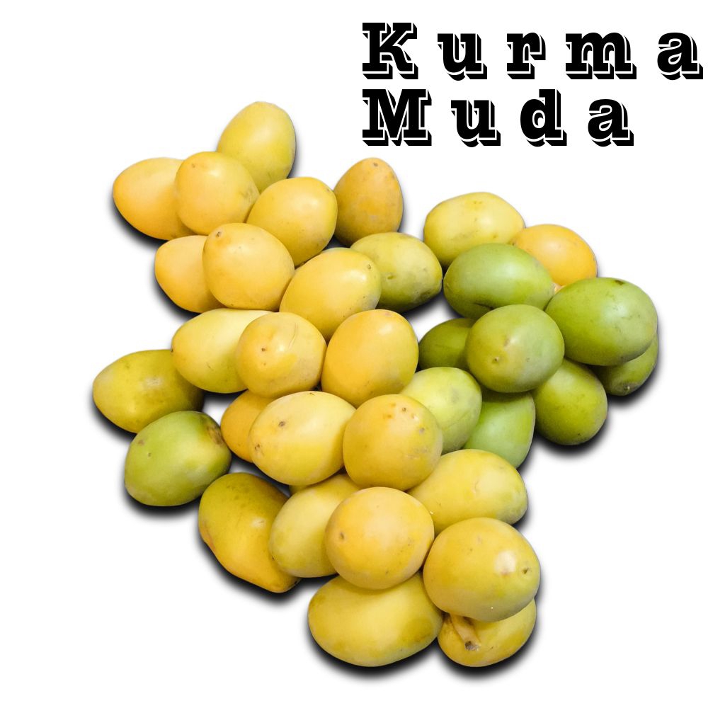 

Kurma Muda Kuning Segar / KurmaMuda Kuning Fresh / Kurma Muda Segar Ikhtiar