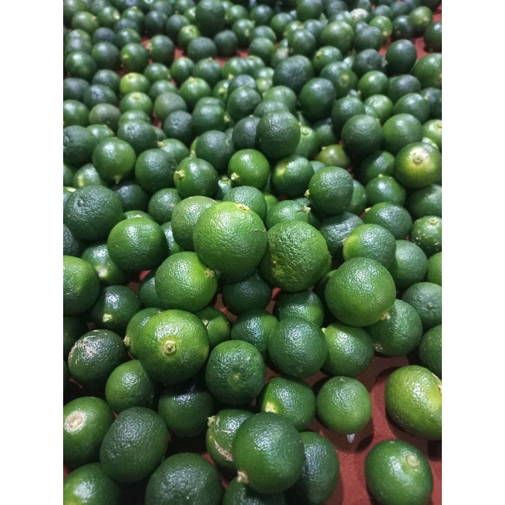 

jeruk songkit/peras/kasturi/lemon cui(2kg harga murah )