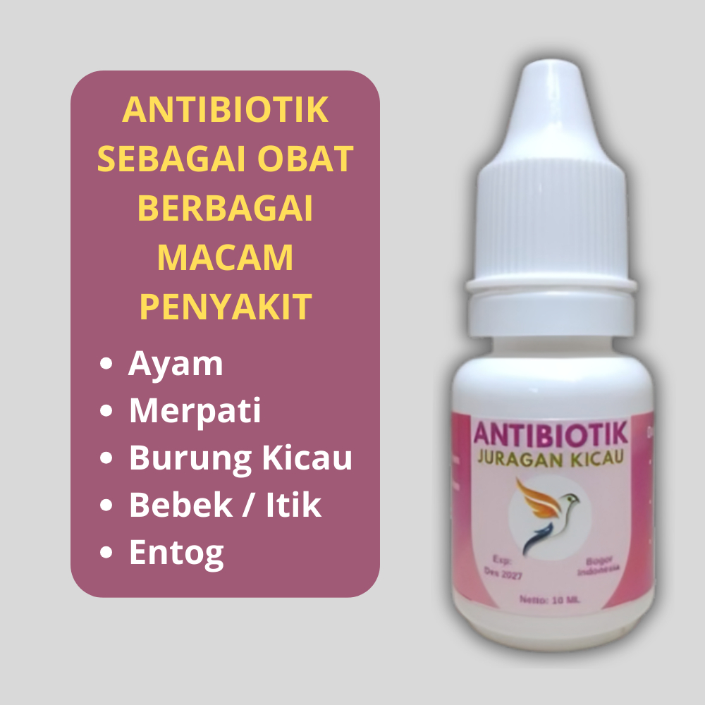 Antibiotik Ayam Burung Kicau Merpati Bebek Entok Untuk Obat Sakit