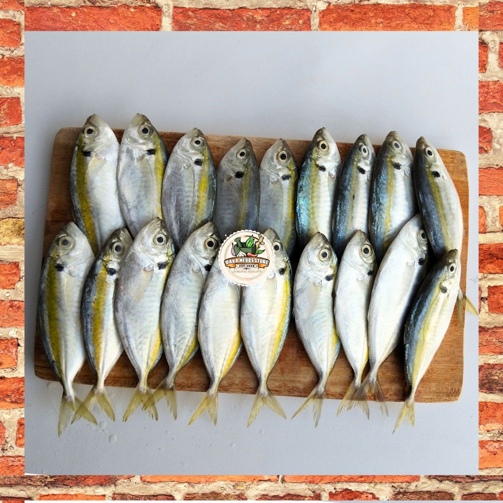 

IKAN SELAR SEGAR 500 GRAM