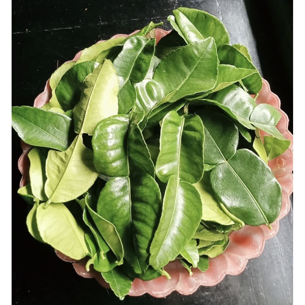 

daun jeruk purut daun jeruk angka 8 segar 50 lembar