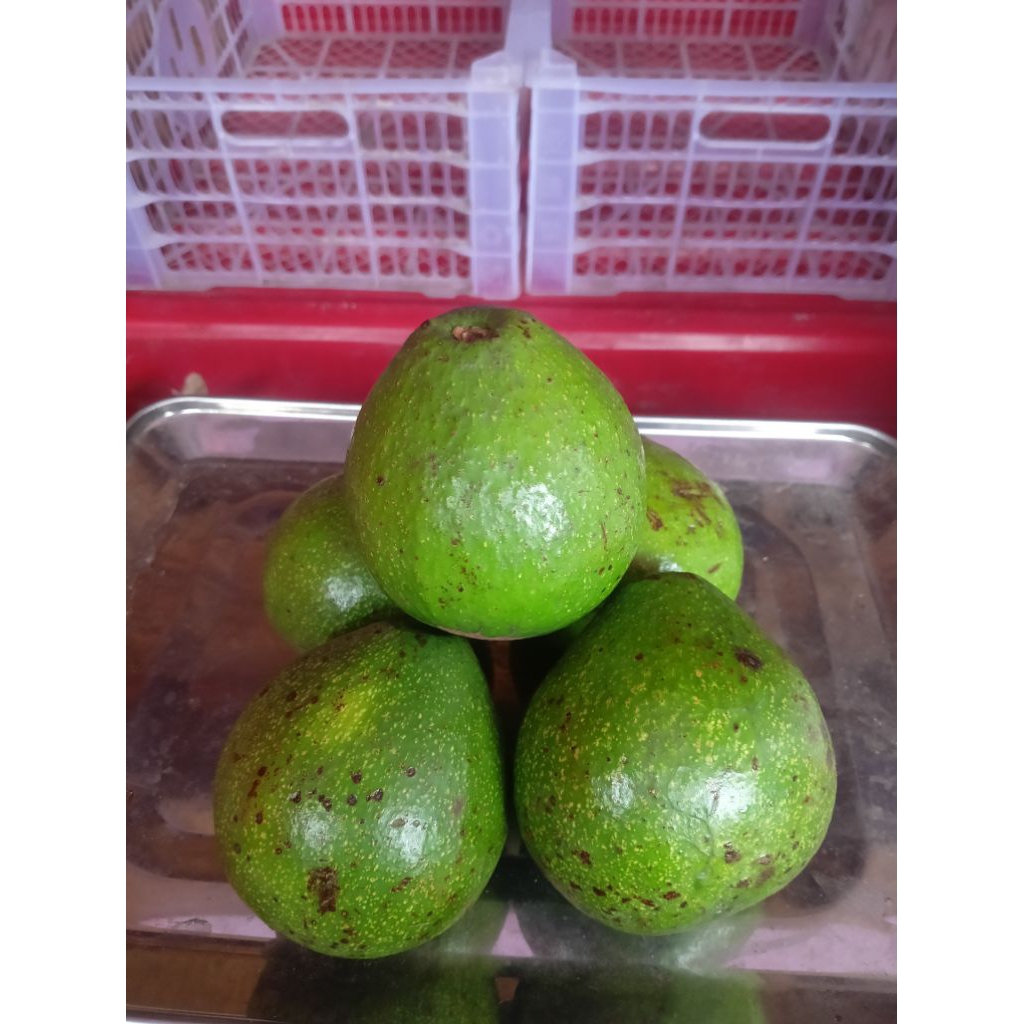 

Alpukat Mentega paket HEMAT 3kg (1kg-isi 4)