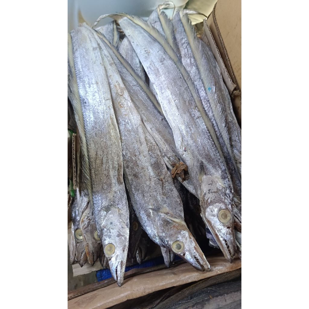

ikan asin layur jumbo sekilo isi 3- 5 (harga untuk 1 kg)