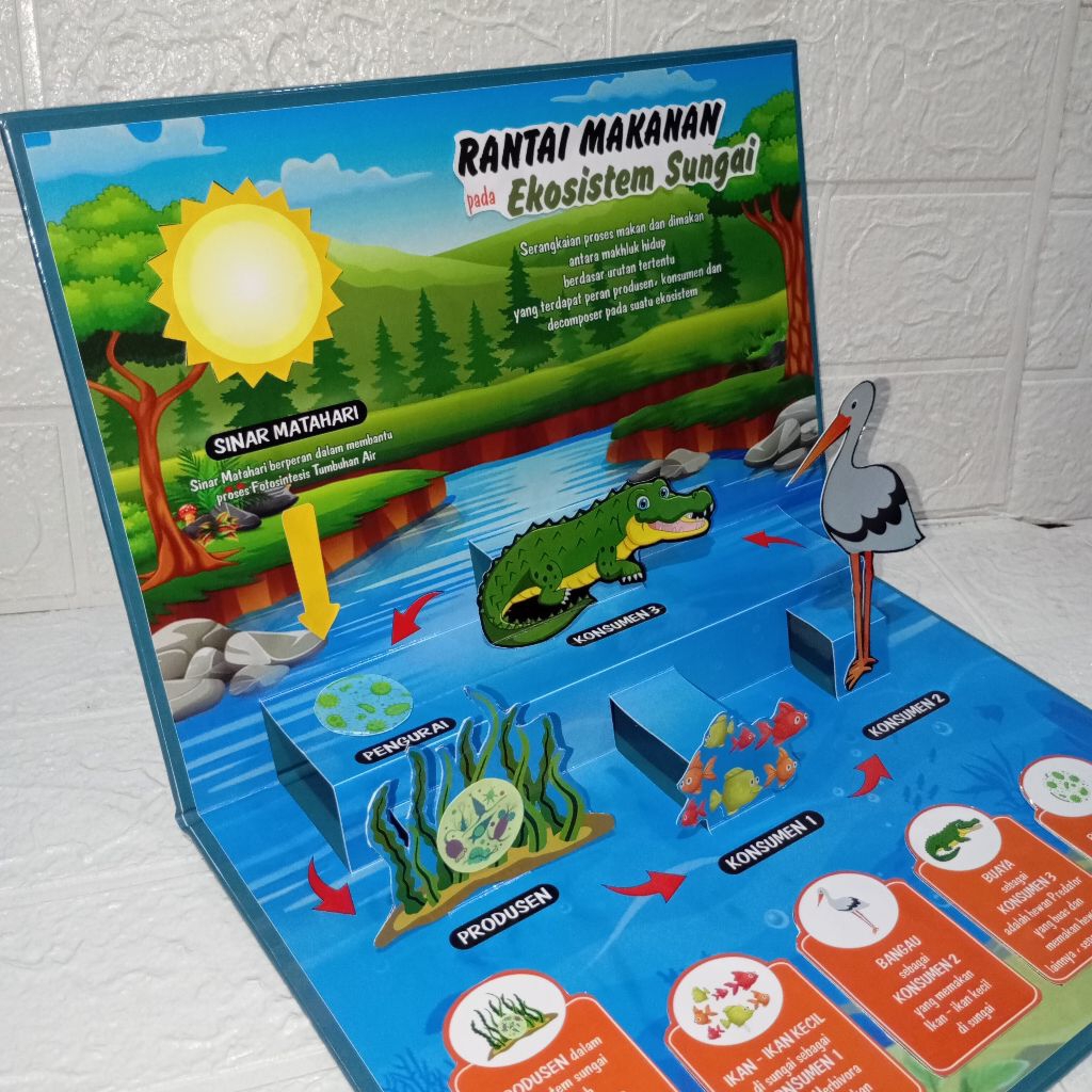 

Pop up card A4 custom Rantai makanan, alat peraga IPAS, tugas sekolah