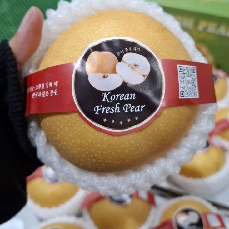 

Pear singo fengshui buah pir fresh