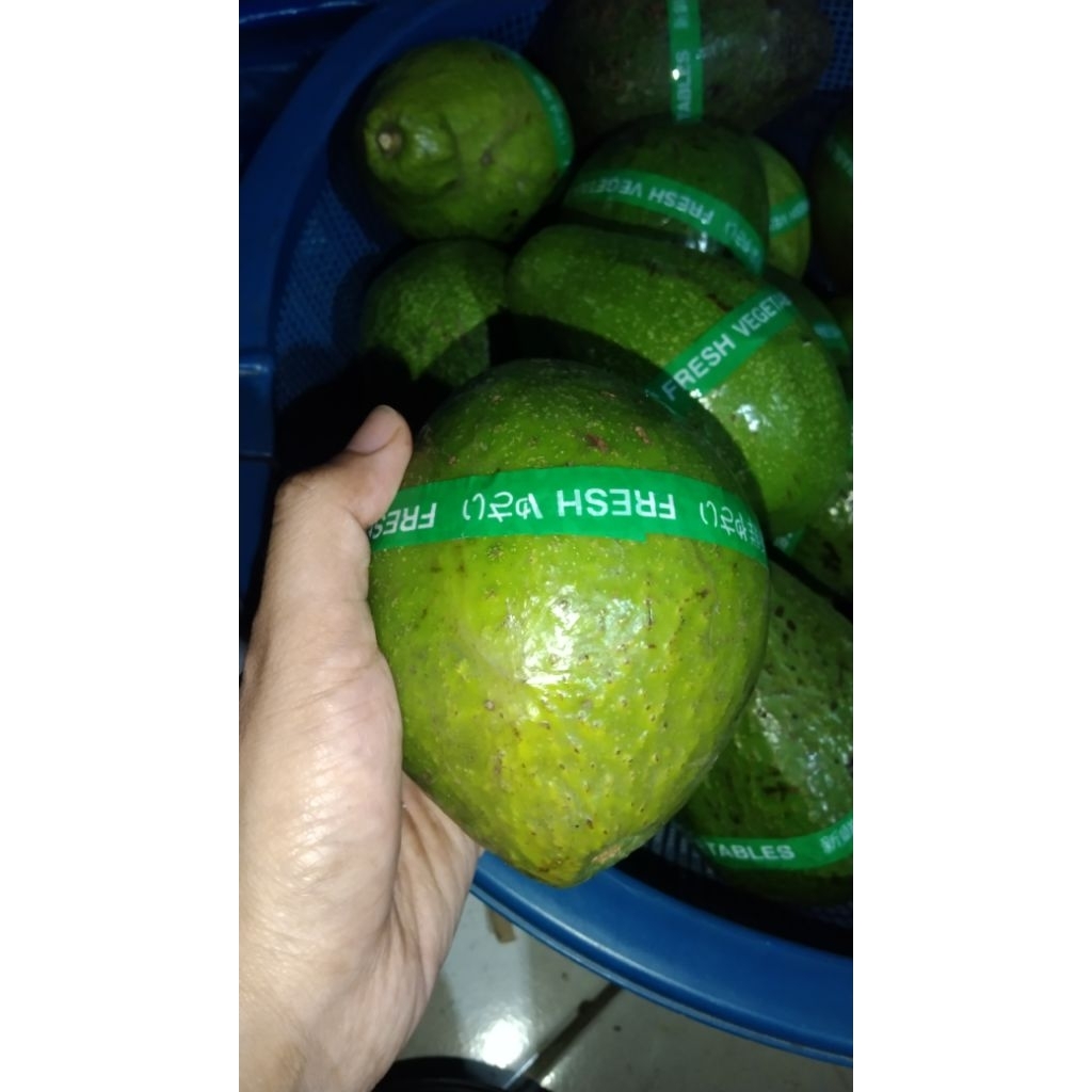 

(COD) BUAH ALPUKAT MENTEGA SUPER 1KG isi 2,3,4 fresh label