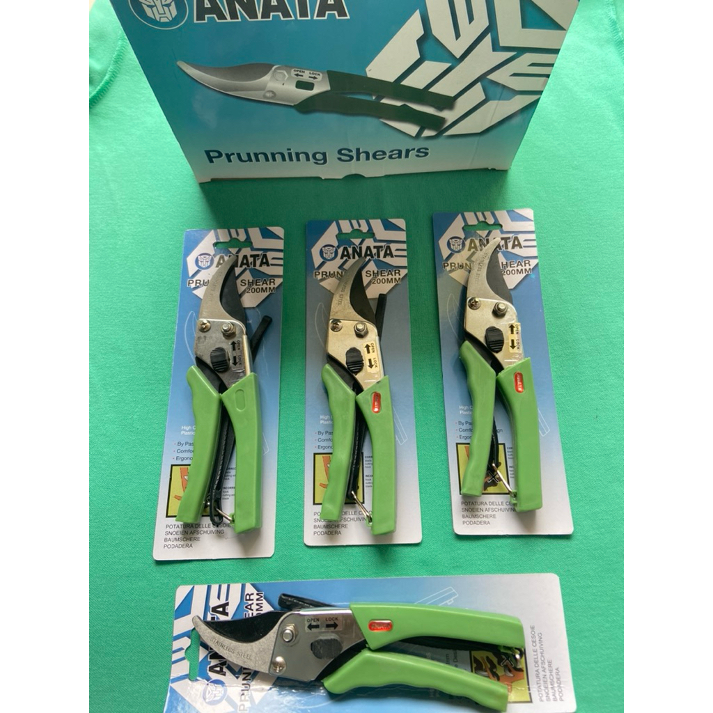 

Gunting Kembang ANATA