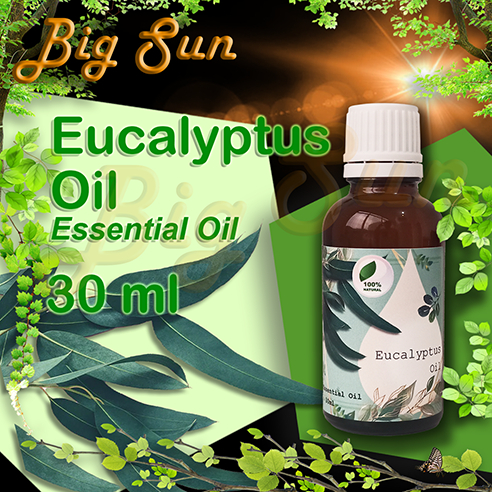 Eucalyptus Oil / Eucalyptus Essential Oil / Eucalyptus / Minyak Eucalyptus / Minyak Kayu Putih