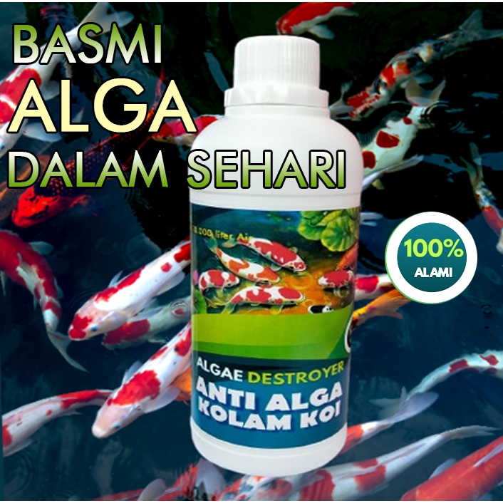 Rosalba Shop-Algae Destoyer, Anti Algae Anti lumut dan Parasit Obat Pembasmi Lumut Kolam ikan hias d