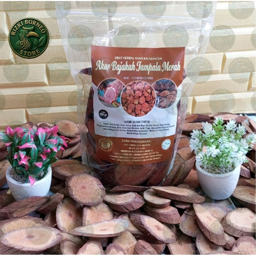 Akar Bajakah Tampala Merah Original