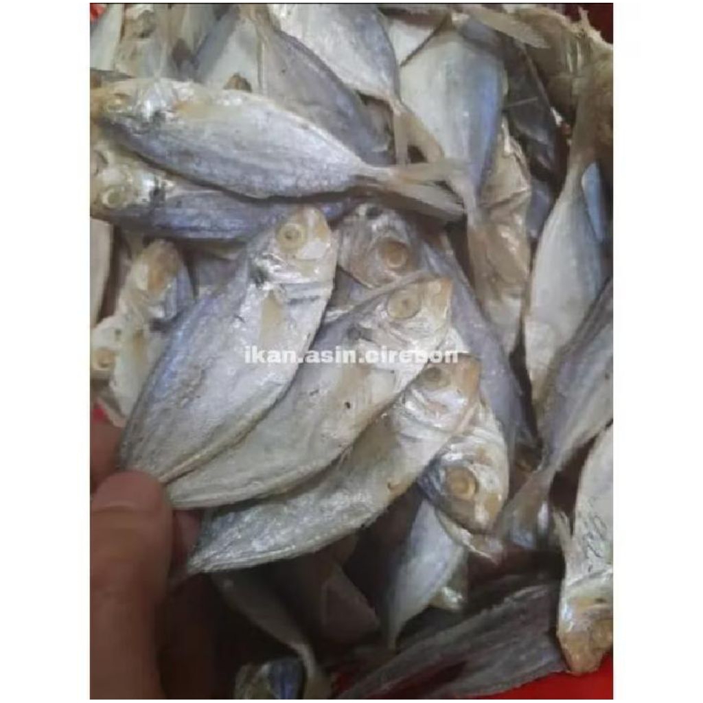 

Ikan Asin Selar Cirebon 1Kg 500g 250g Promo Murah