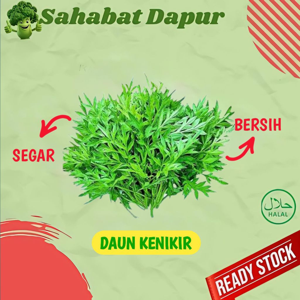 

Daun Kenikir Per ikat