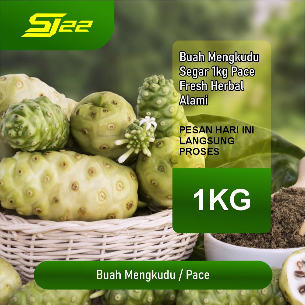 

Mengkudu Segar 1kg Pace Fresh Buah Herbal Tradisional