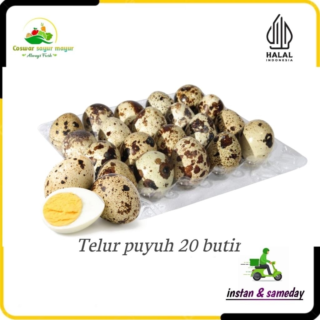 

Telur burung puyuh isi 20 butir / bahan masakan segar bergizi/bahan masakan lauk /cemilan praktis
