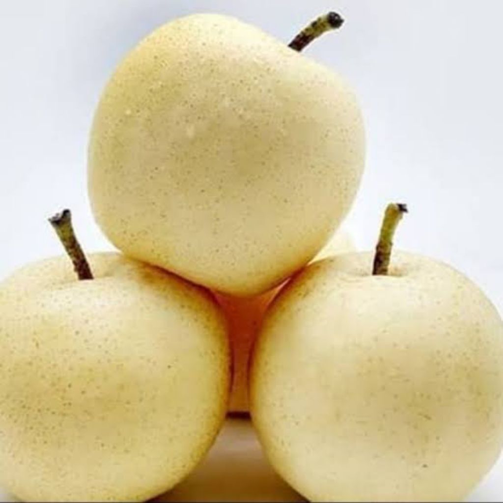 

Pear Century Madu / Buah Pir Fresh 1 kg (Buah Segar)