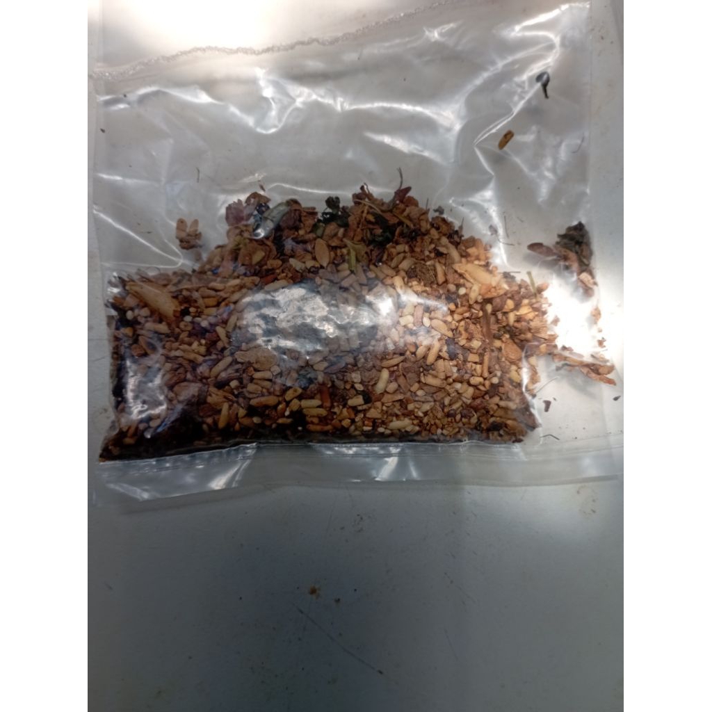 

sembur karo tidak panas