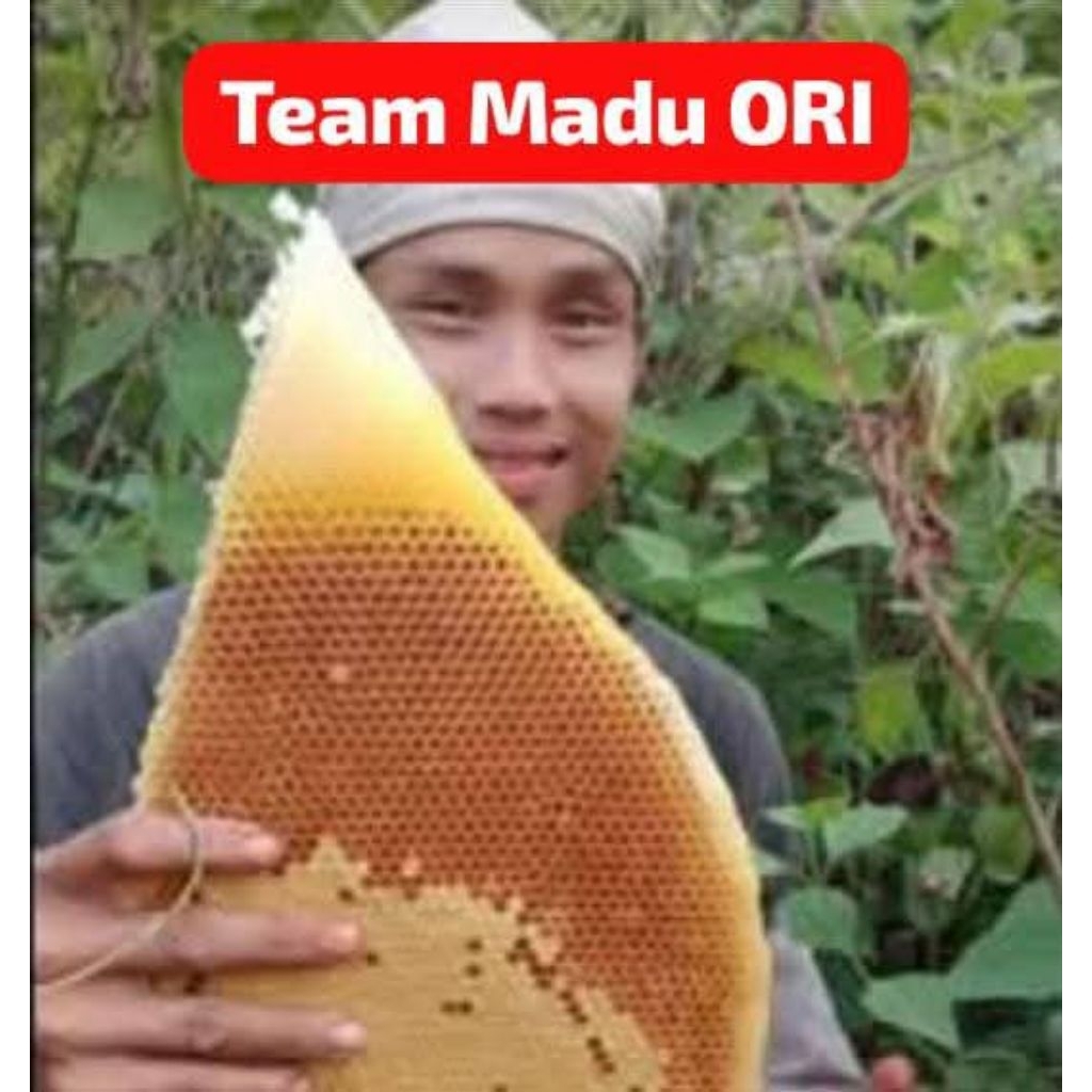 

Madu Murni Nectar Bunga Multiflora Lebah Apis Dorsata Madu Hutan Best Honey Pure Raw Honey Super Asli Liar