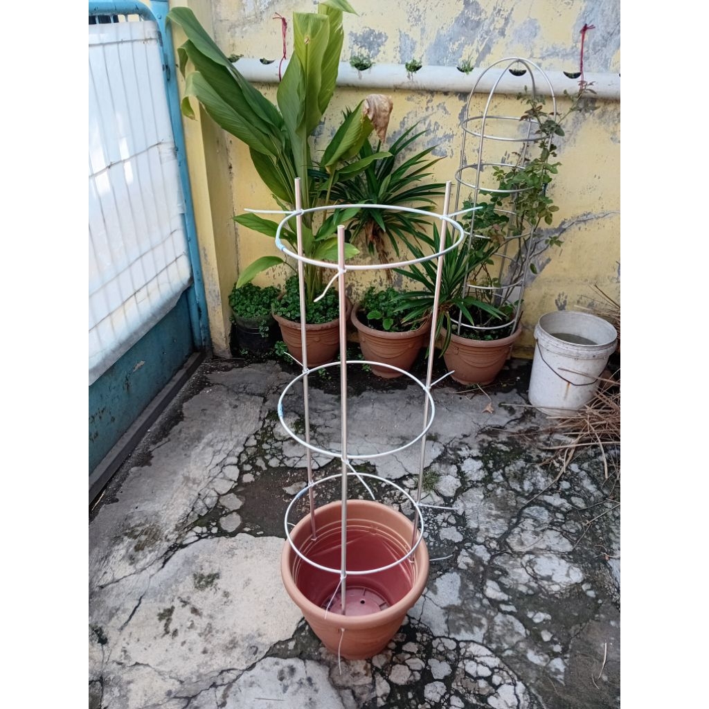 tiang/rangka rambatan anggur