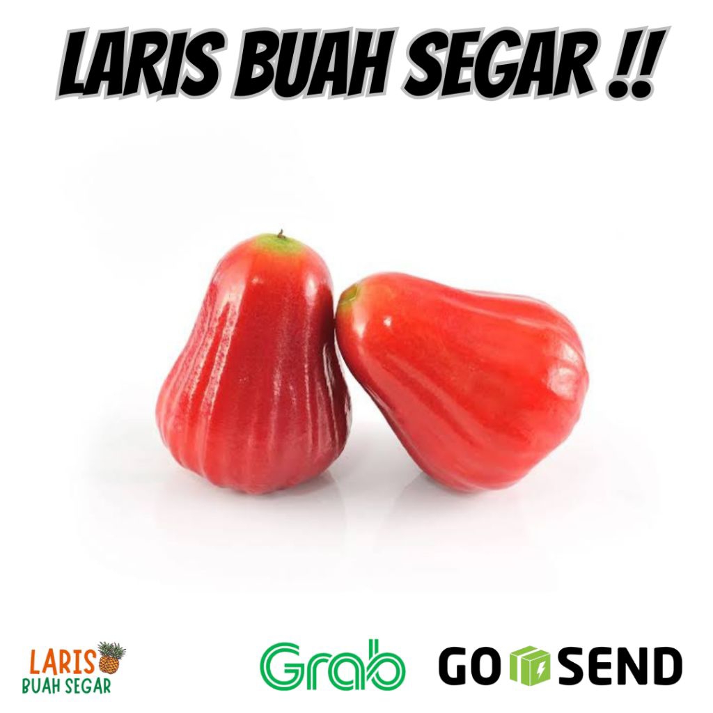 

BUAH JAMBU AIR CITRA / JAMBU AIR MANIS CRUNCHY 1 KG