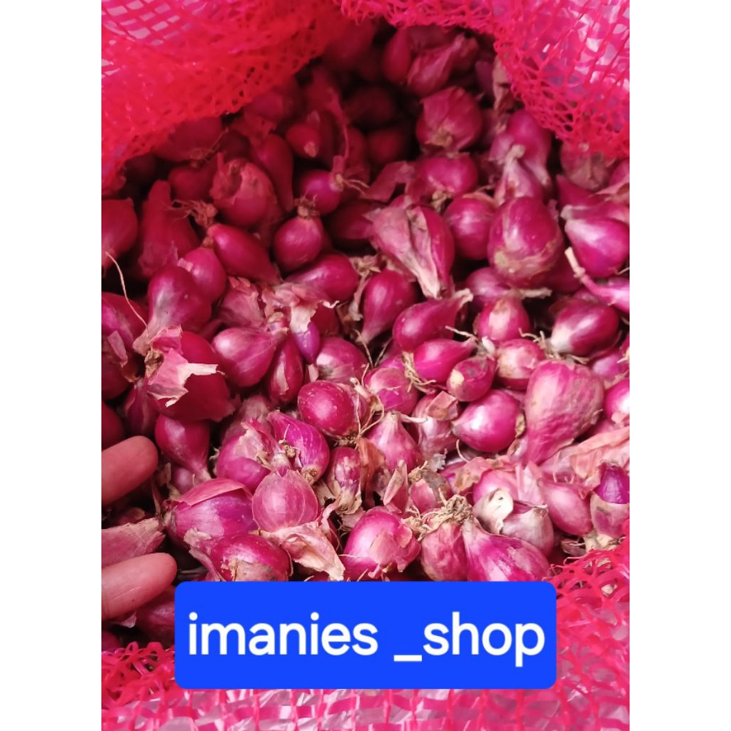 

Bawang Merah brebes SUPER ukuran besar pilihan 1kg 500gr