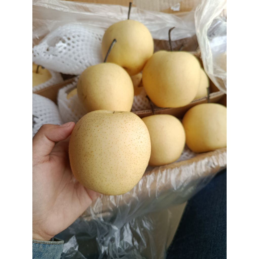 

Pear Century / Pir Century / Pir manis 500gr/1kg