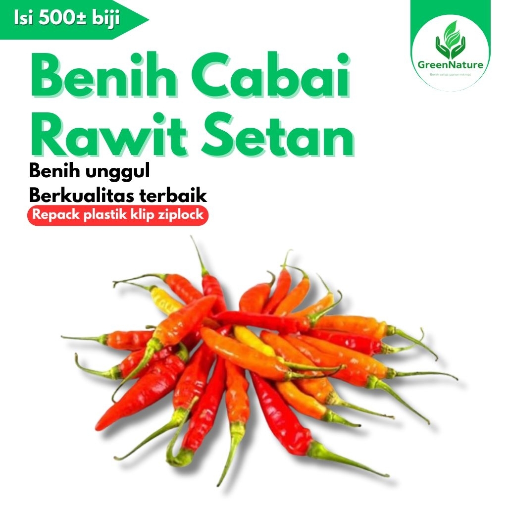 

500± BIJI BENIH CABAI RAWIT SETAN
