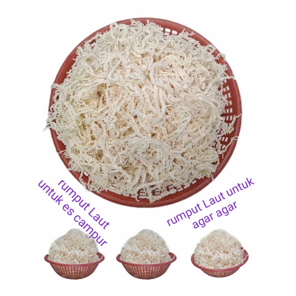 Rumput Laut 1kg Rumput Laut Kering Untuk Es Campur Agar-agar