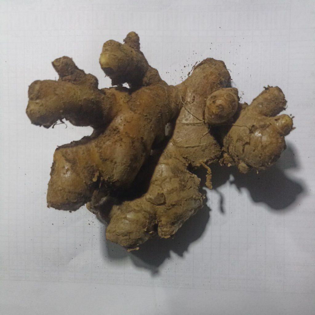 

jahe murahh harga 1kg