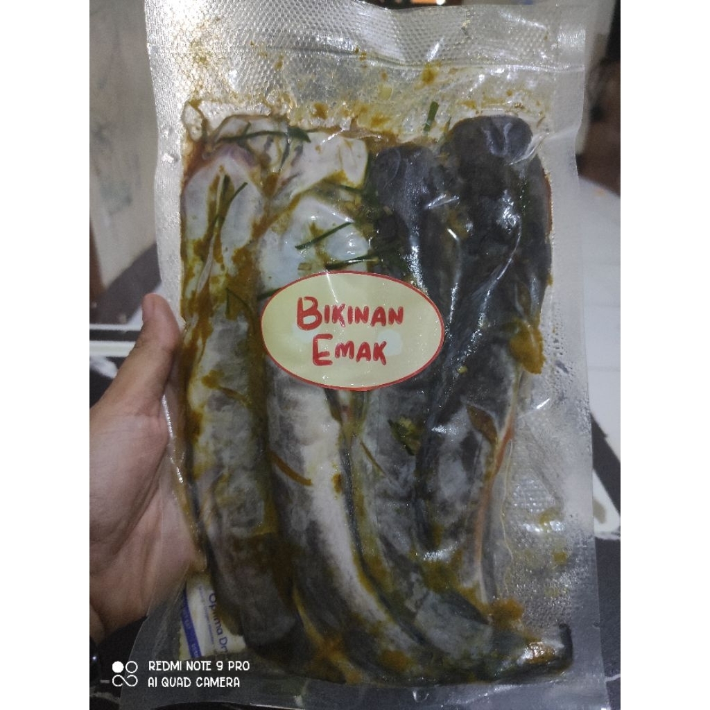 

Lele Bumbu Kuning "Bikinan Emak
