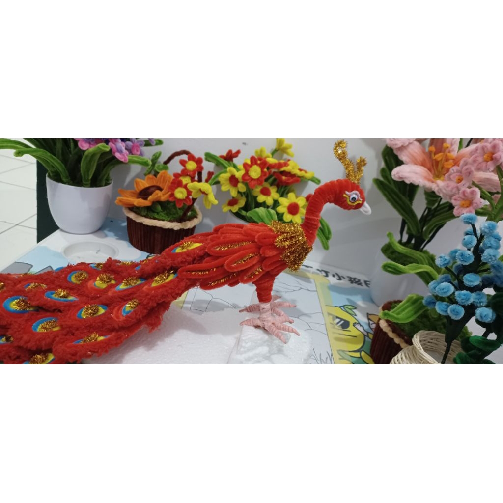 burung merak kawat bulu