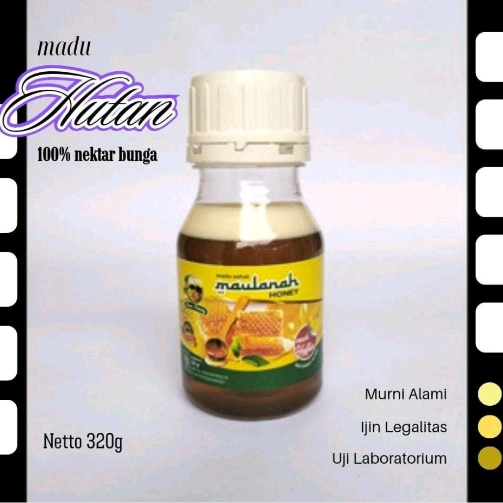 

MADU MURNI / MADU ASLI - MADU HUTAN - MAULANAH HONEY 320 GRAM